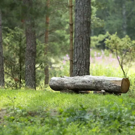 Guest house Dirhami Guesthouse Dirhami