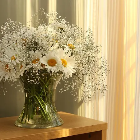 Dirhami Guesthouse Guest house