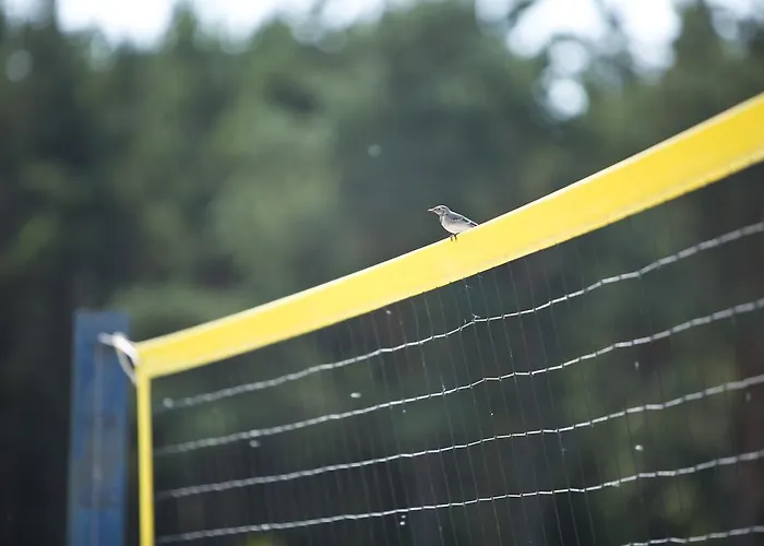 Affittacamere Dirhami Guesthouse Dirhami