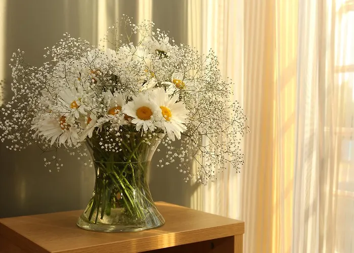 Dirhami Guesthouse Affittacamere